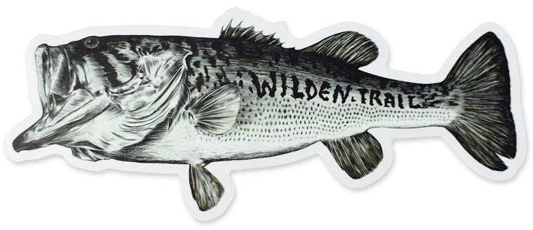 Largemouth Bass Sticker – Wilden Trail